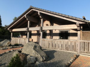 Harz Blockhaus - Chalet