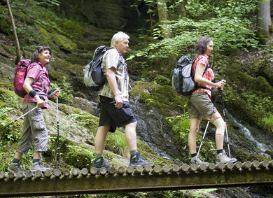 Wandern im Harz