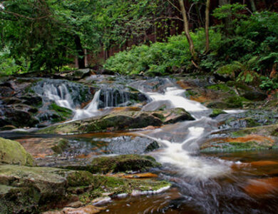 Bachlauf im Harz