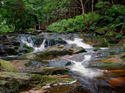 Bachlauf im Harz