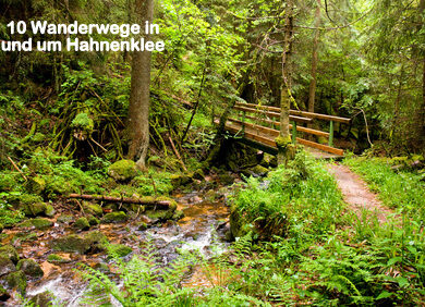 Holzbruecke ueber einen Wildbach im verregneten Schwarzwald