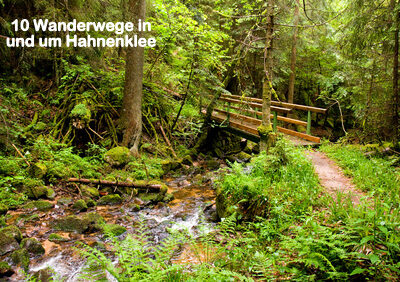 Holzbruecke ueber einen Wildbach im verregneten Schwarzwald